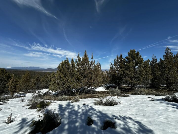 Property Photo:  Overland Drive  OR 97627 