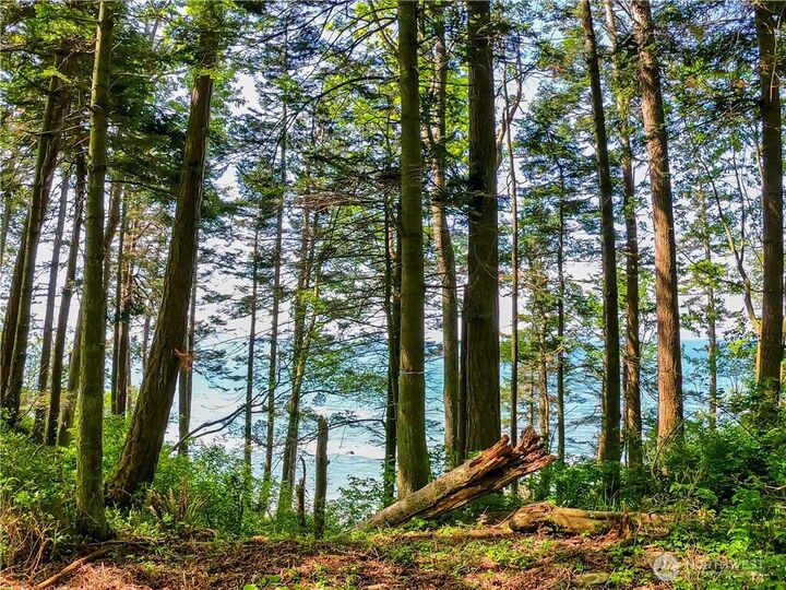 12  Koehn Road  Blaine WA 98230 photo