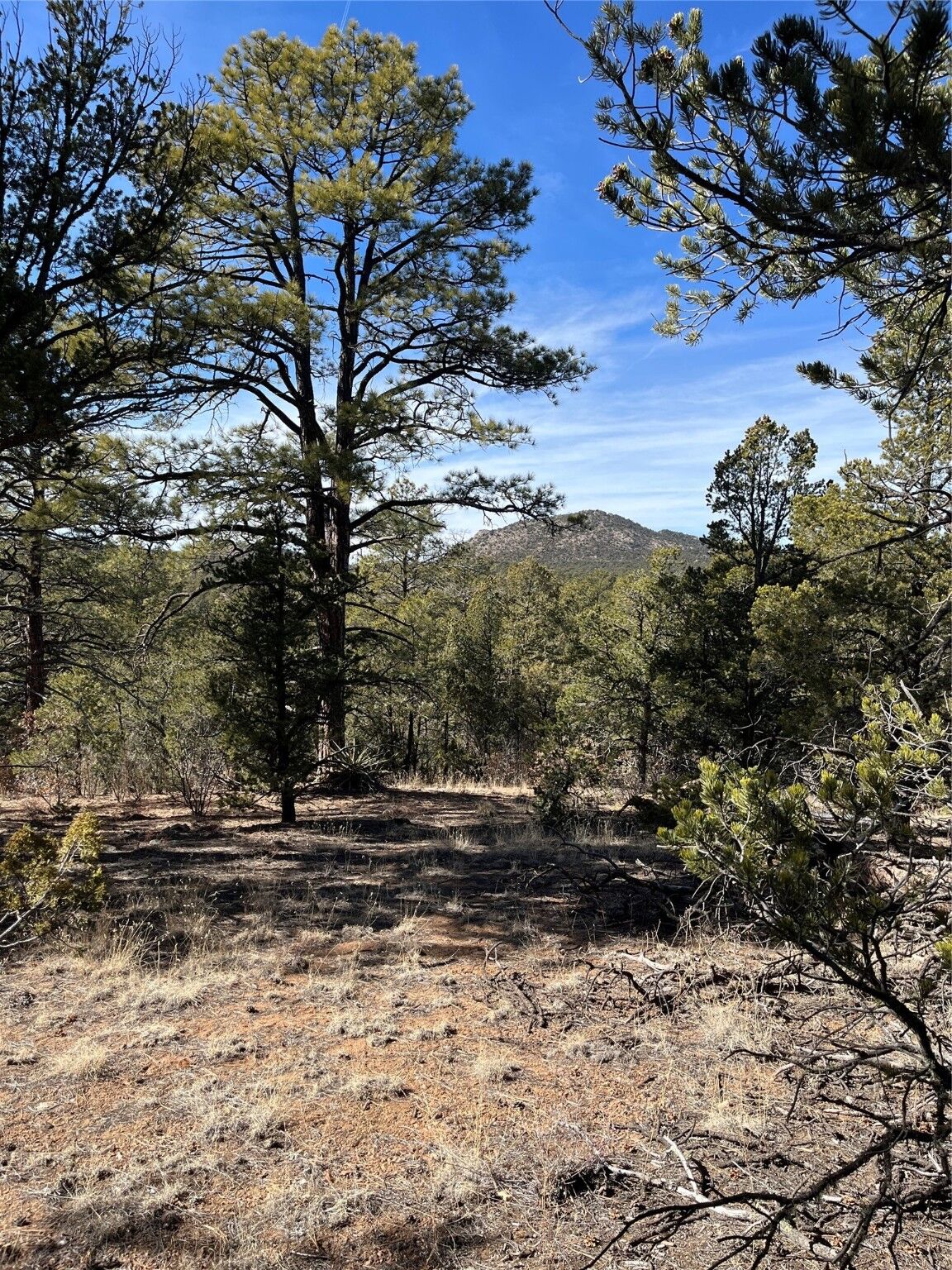 Property Photo: 0 La Posta Way Tract 7-1 NM 87505