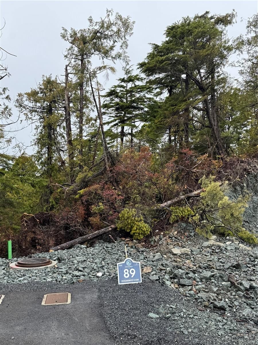 Property Photo:  Lot 89 Shore Pine Dr  BC V0R 3A0 