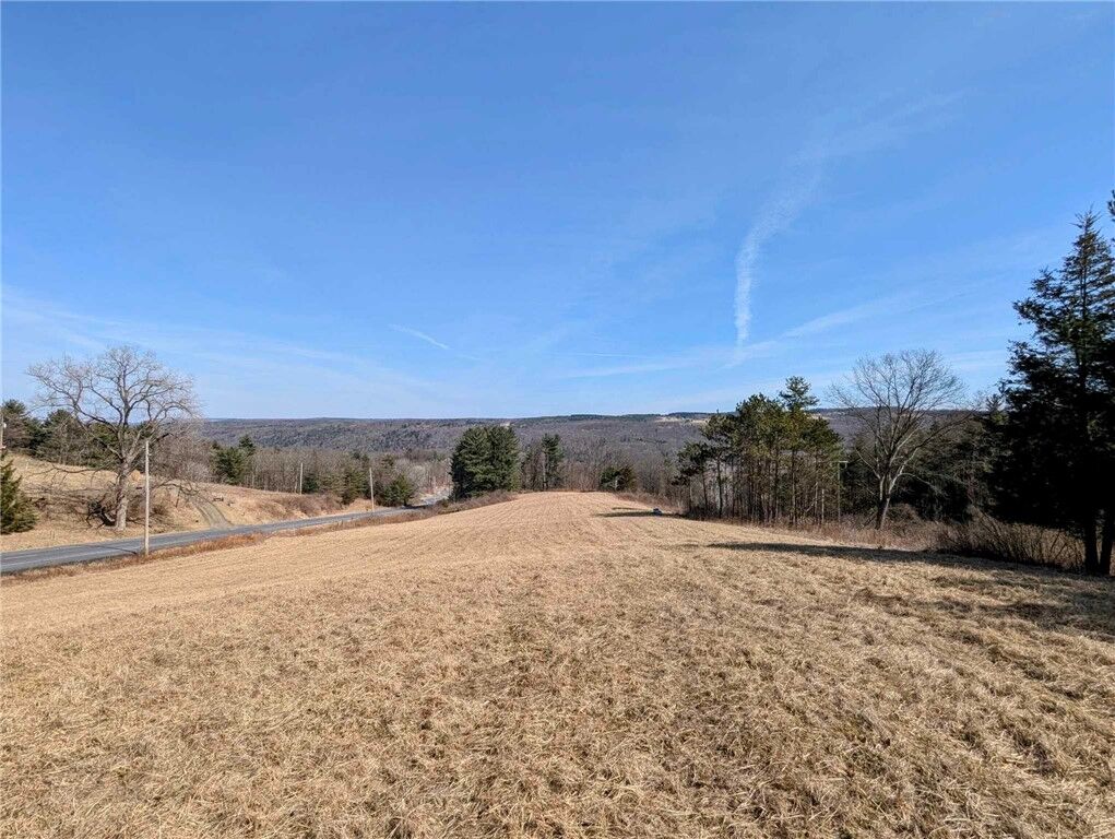 Property Photo: Millard Hill Road NY 14867