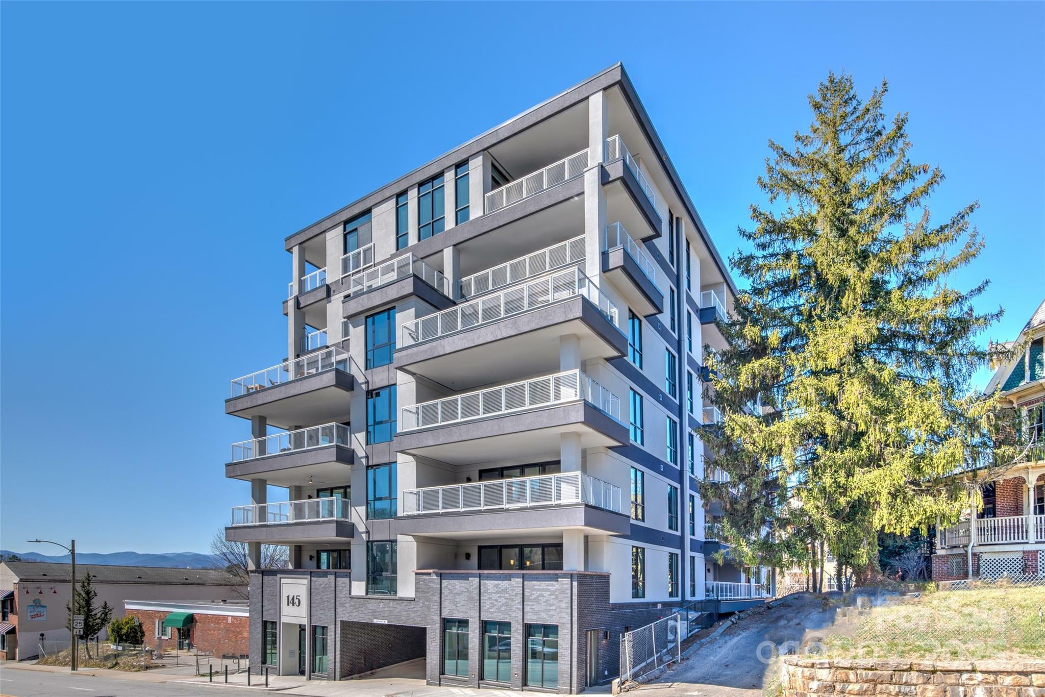 Property Photo: 145 Biltmore Avenue 205 NC 28801