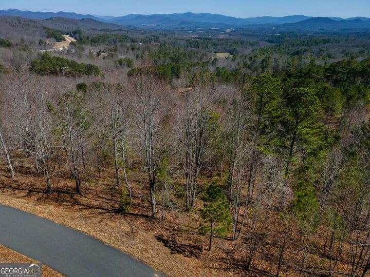 Property Photo: Lot 39 The Hills At Queens Gap GA 30512
