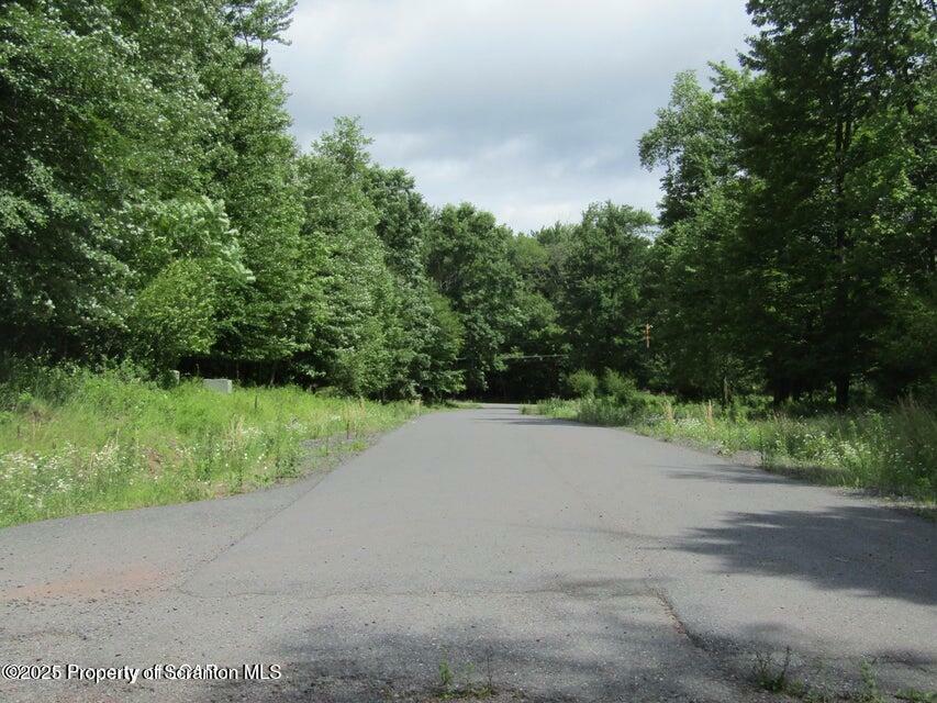 Property Photo: Buffalo Street PA 18661