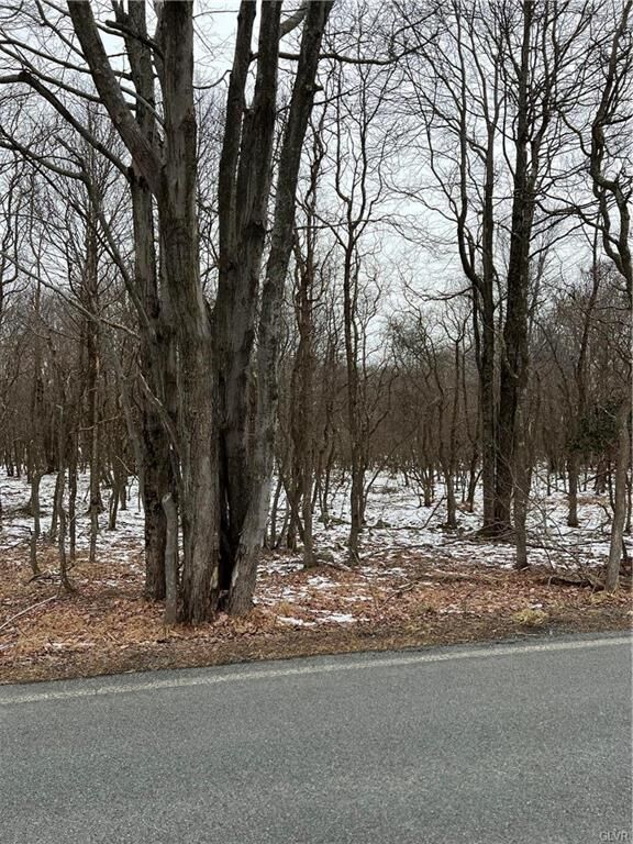 Property Photo:  767 Hidden Lake Drive  PA 18302 