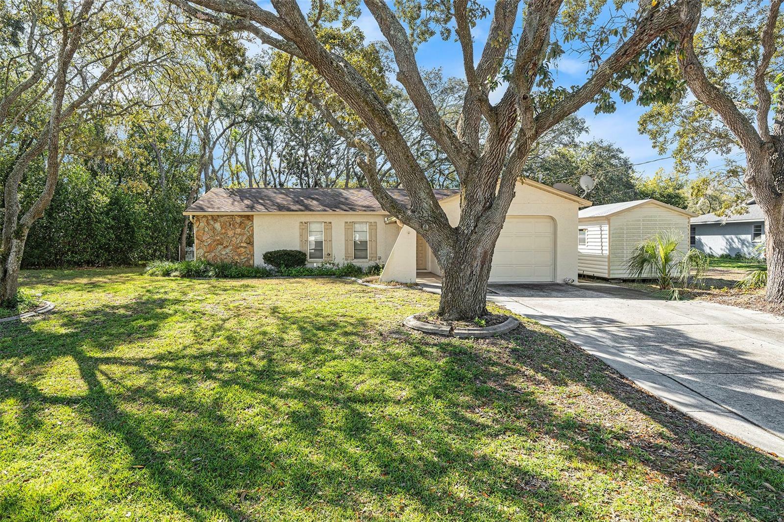 2258 Waterfall Drive  Spring Hill FL 34608 photo