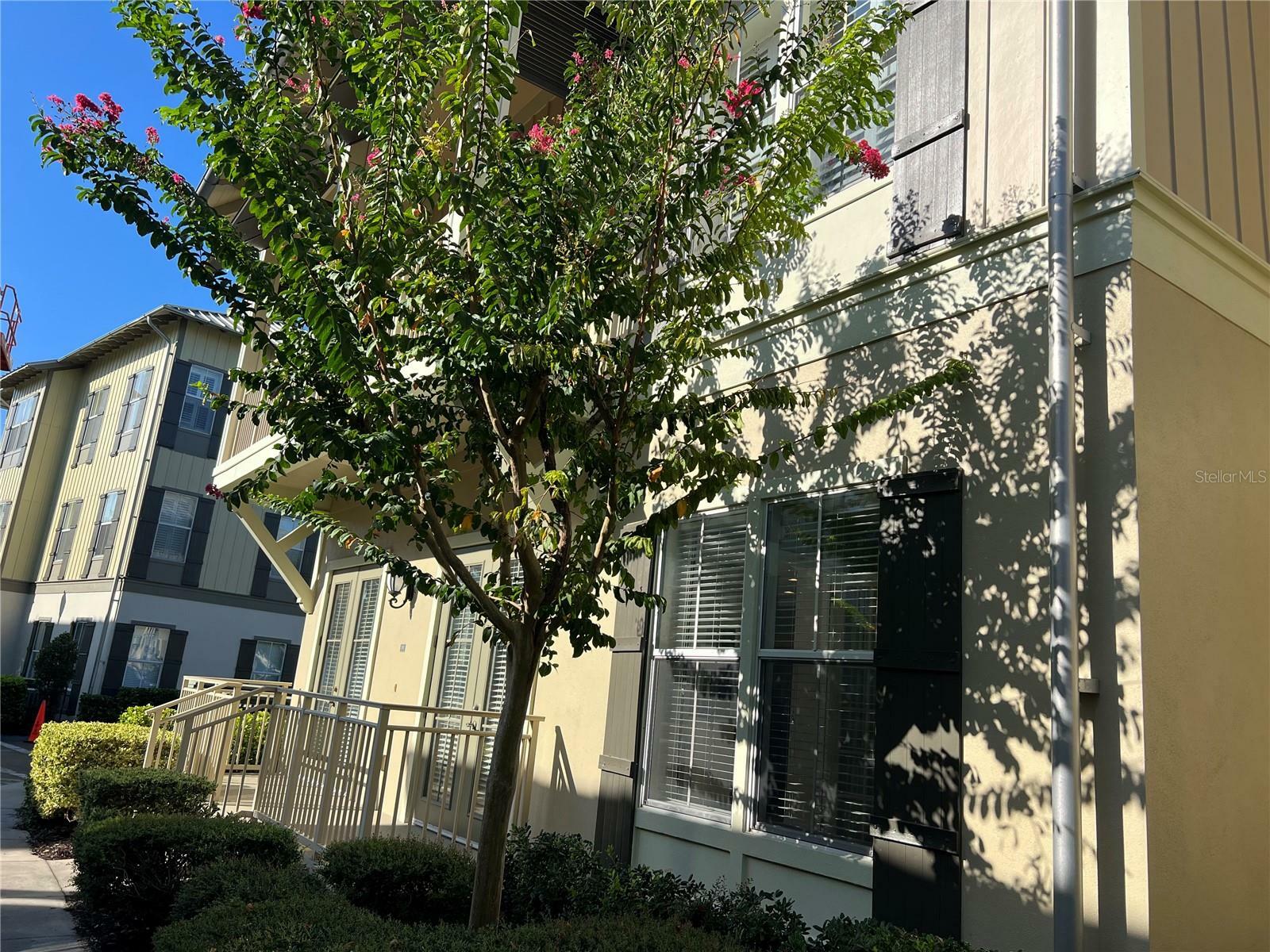 Property Photo: 600 Edwards Street 7101 FL 34747