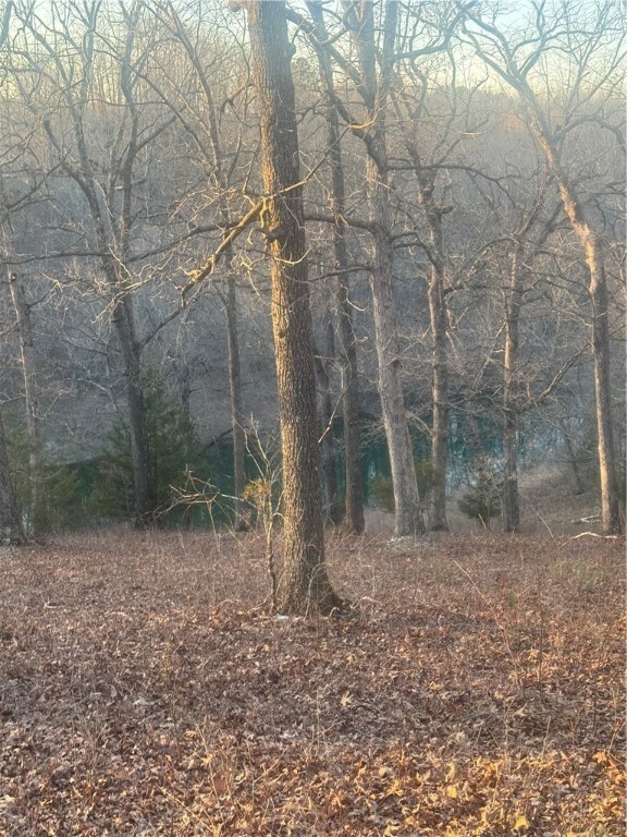 Property Photo:  Tbd Hwy 14 West  AR 72662 