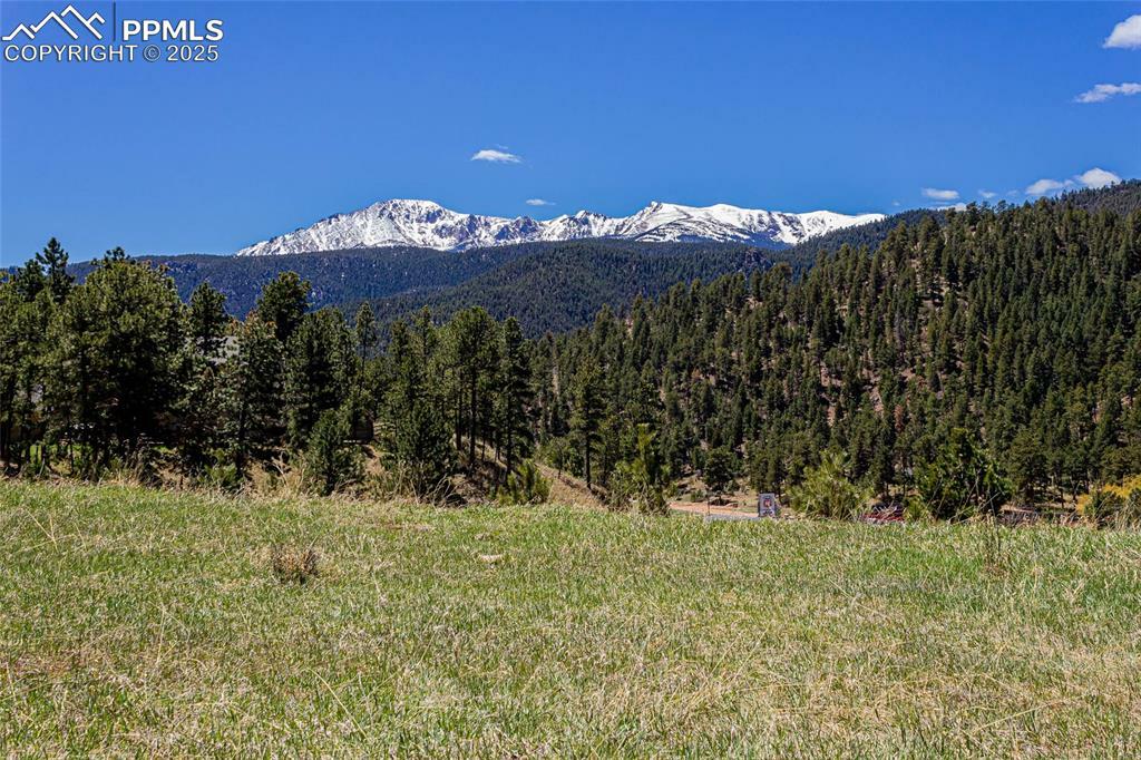 Property Photo: 2721 Mountain Glen Court CO 80863