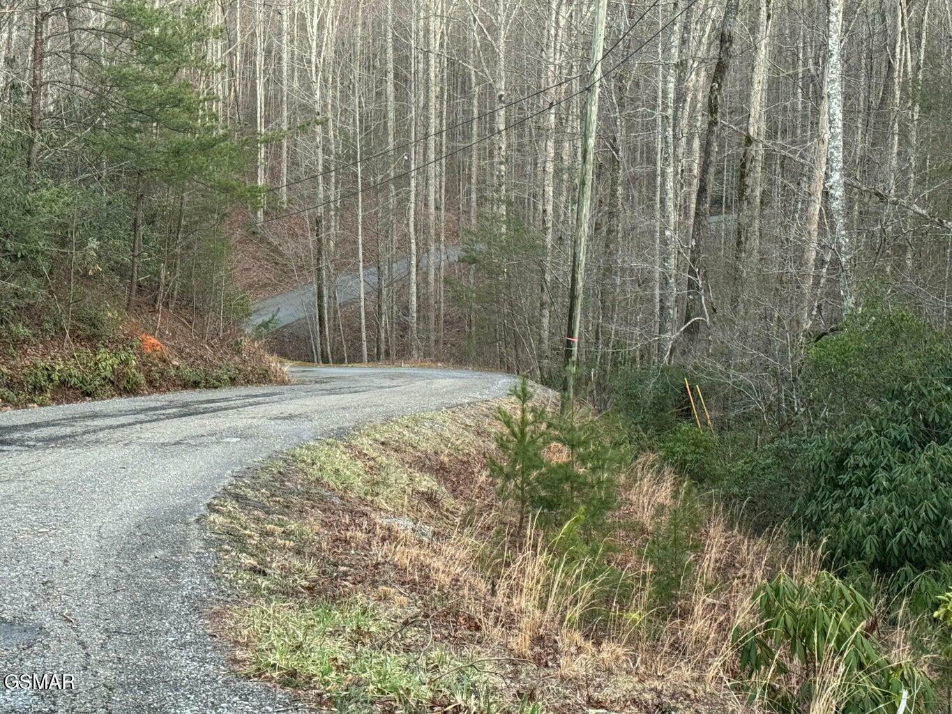 Property Photo: 714 Pinnacle Vista Lot 28 TN 37738