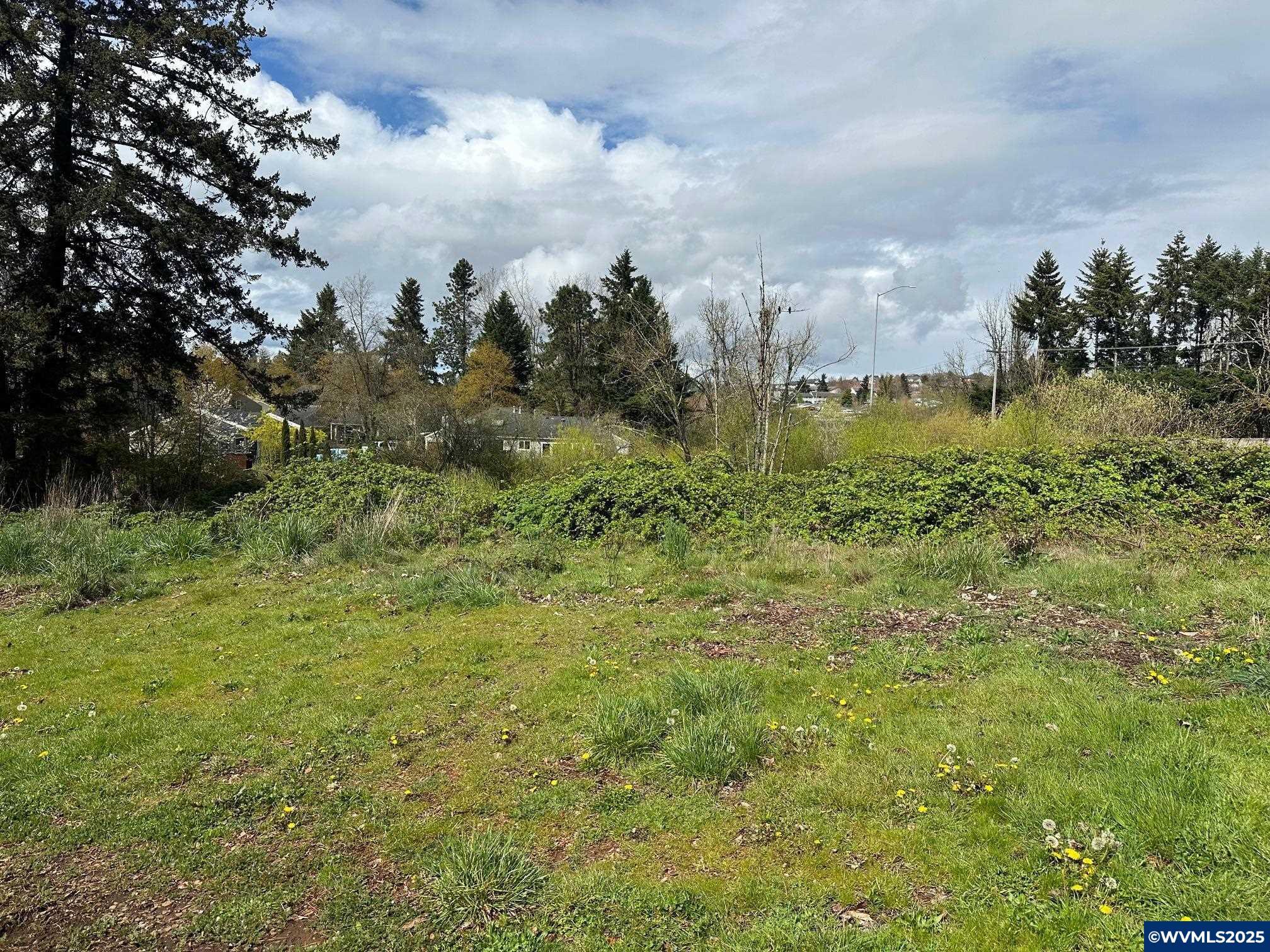 Property Photo: Off Spicetree Ln OR 97306