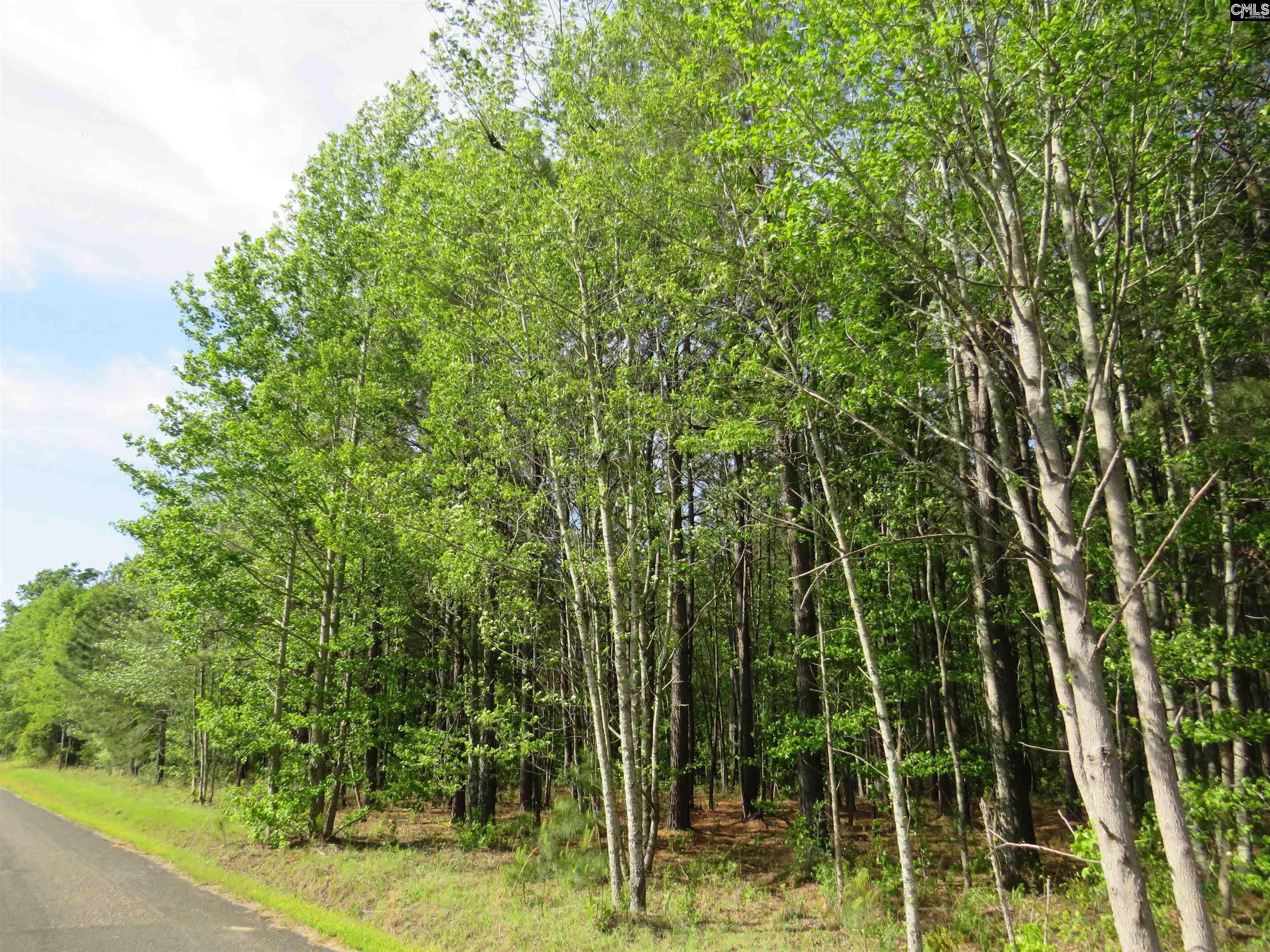 Property Photo: N/S Hallwood SC 29044