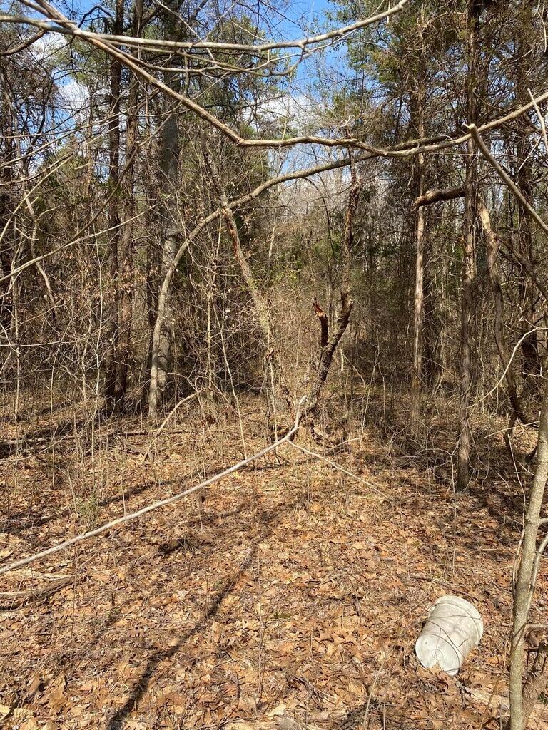 Property Photo:  1057 Palisades Court  KY 41519 