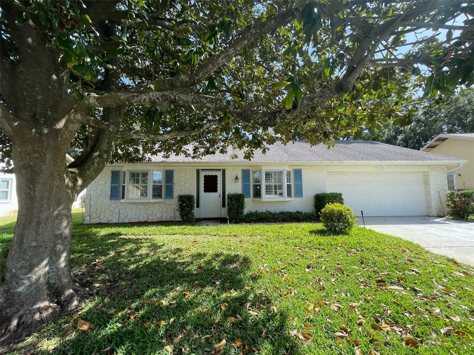 1659 E Dorchester Court  Palm Harbor FL 34684 photo