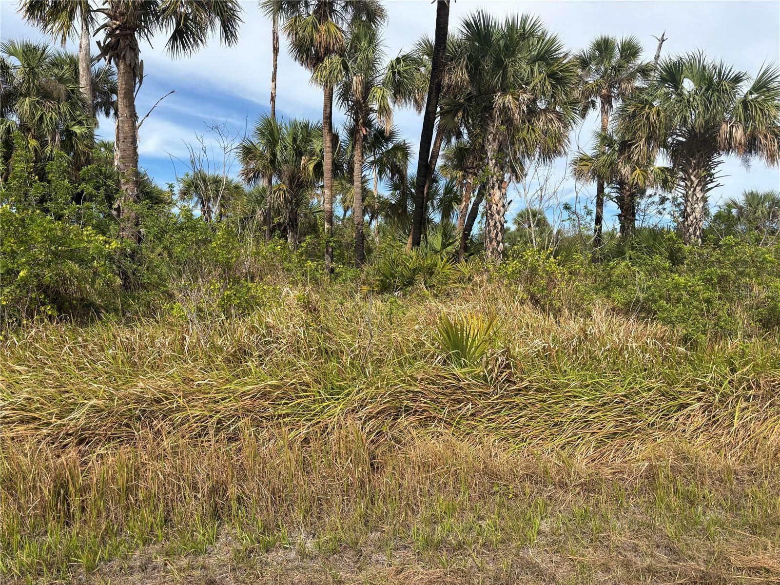 Property Photo:  Largeleaf Street  FL 34288 