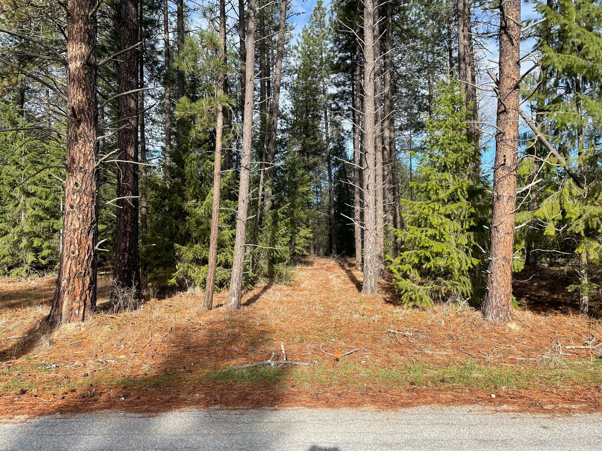 Property Photo: 268 Eagle Dr WA 99109
