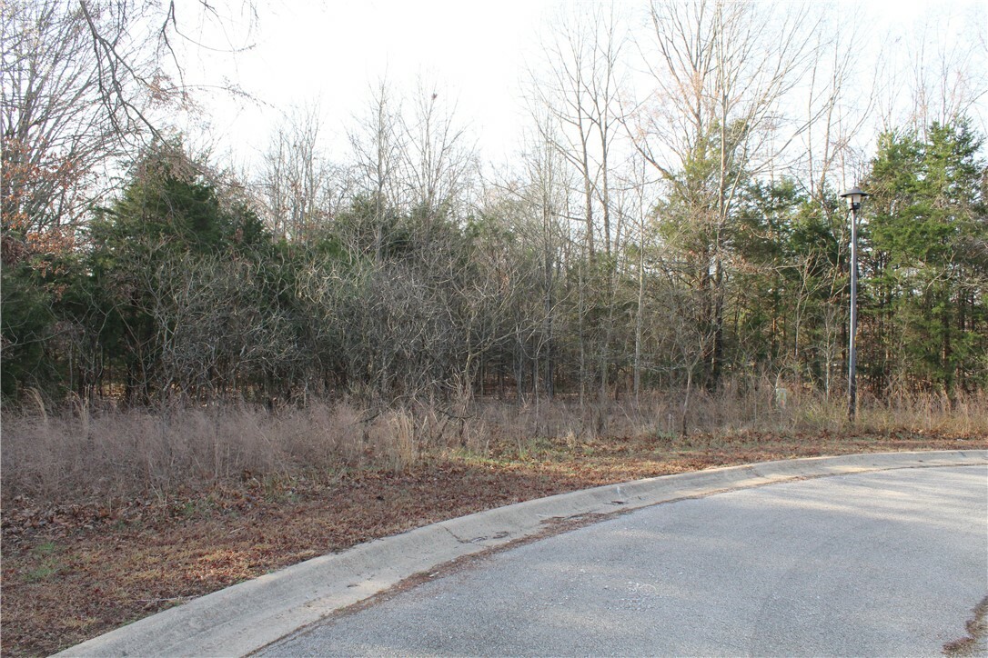 761-00014-000 Falltime Drive  Bull Shoals AR 72619 photo