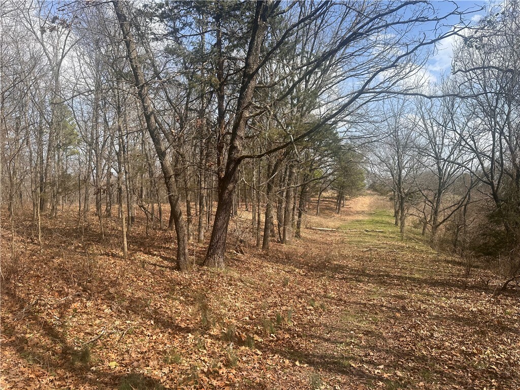 Tbd County Road 332  Eureka Springs AR 72632 photo