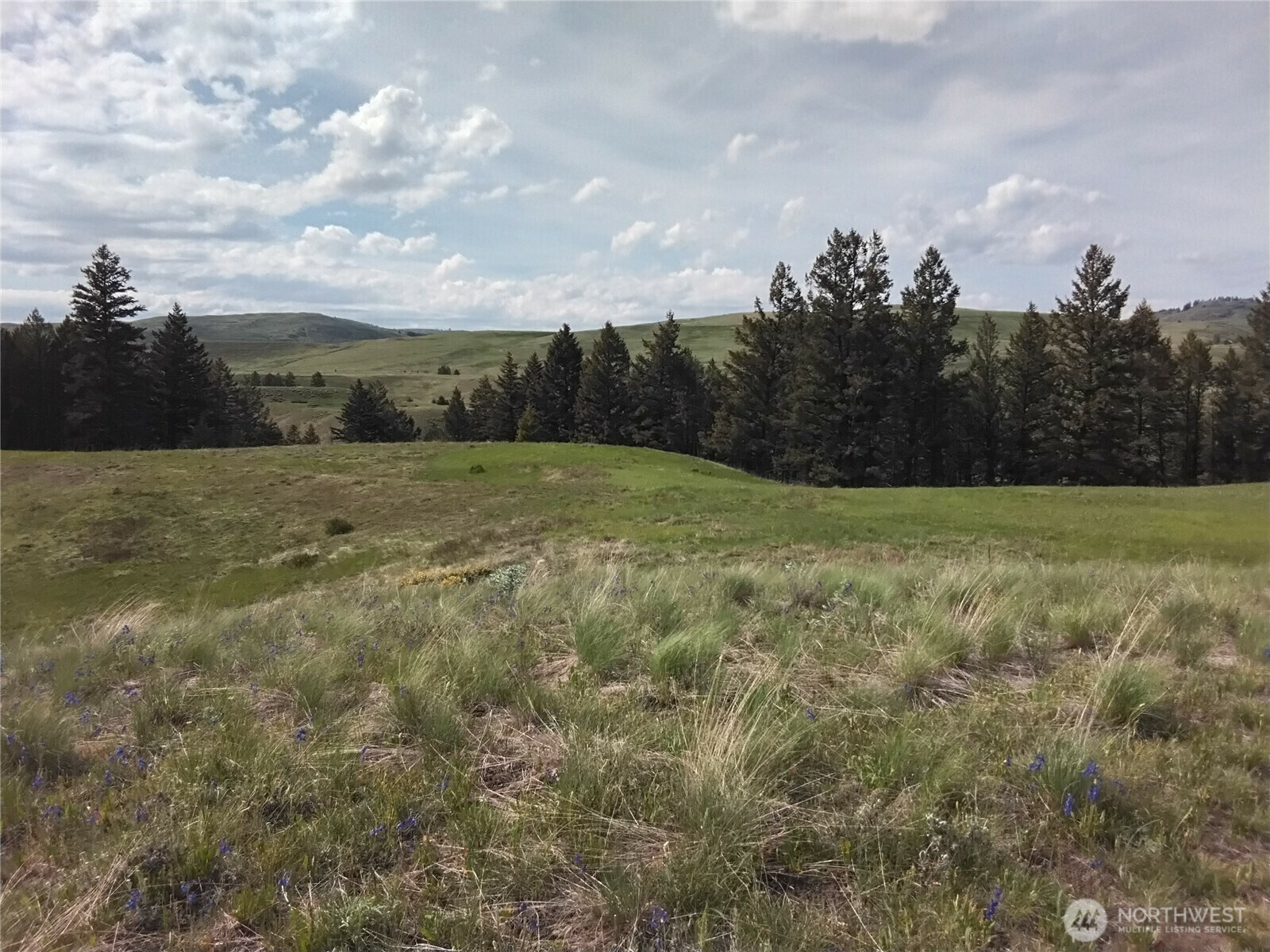 Property Photo: 0 N Mountain View Drive WA 98855