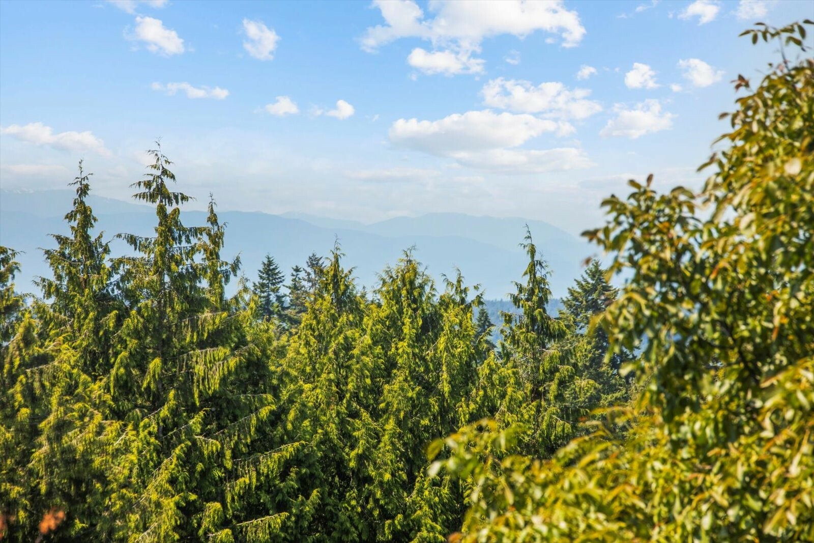 Property Photo: 9126 45th Place W WA 98275