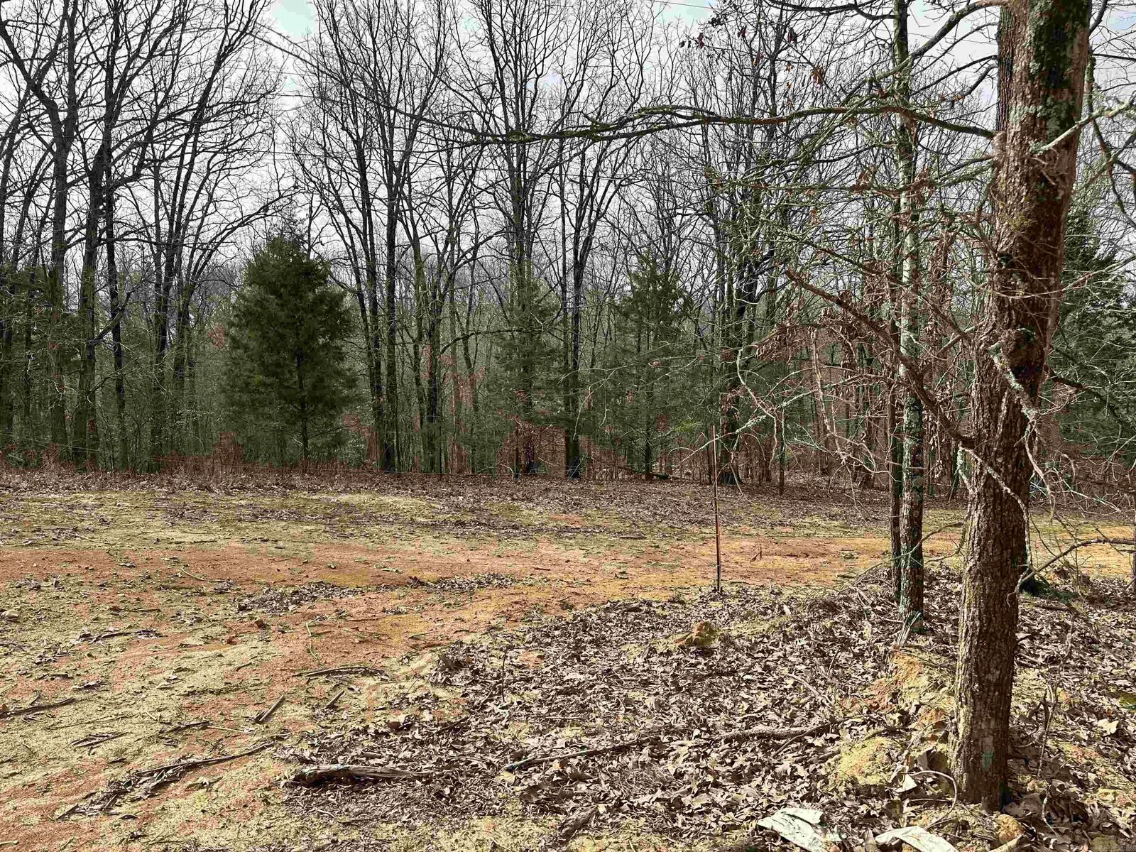 Property Photo: Lot 2 Raby Road AR 72432