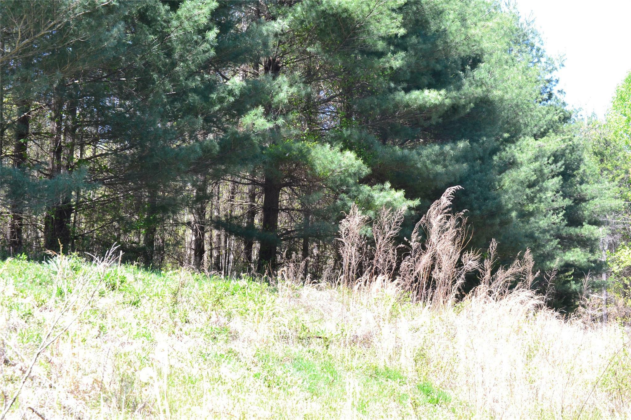 Property Photo: 00 Swaringen Road NC 28685