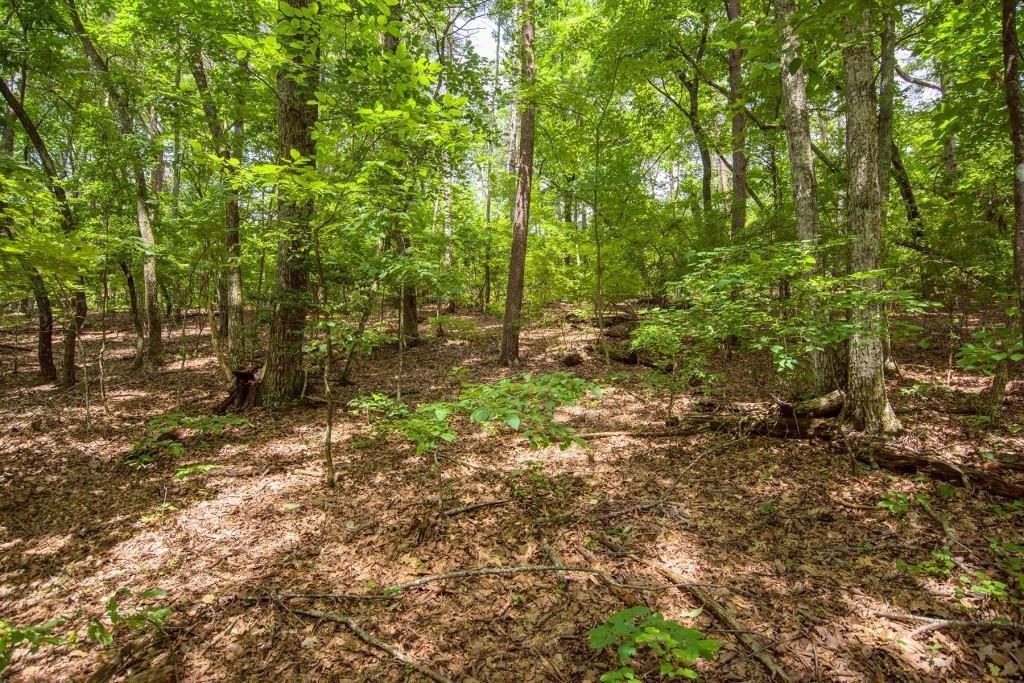 285 Bear Creek Drive  Big Canoe GA 30143 photo