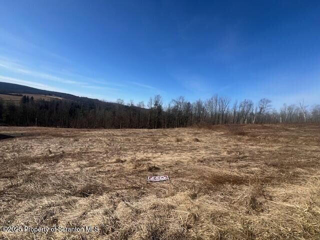 Property Photo: Lot #31 Elm Street PA 18433