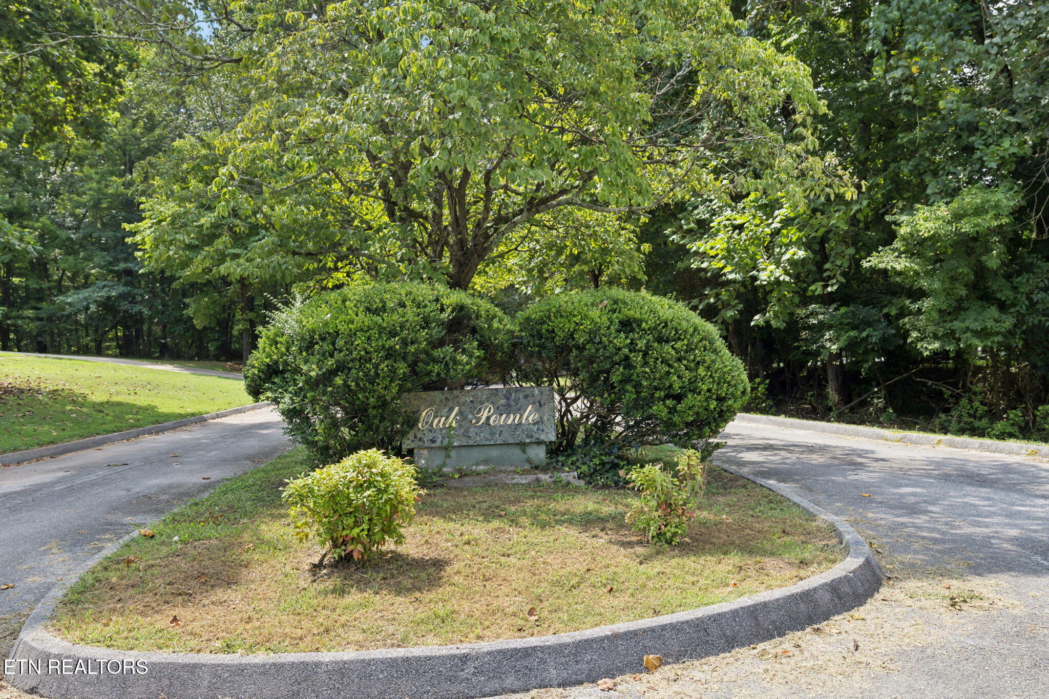 Property Photo: 103 Nelson Place TN 37748