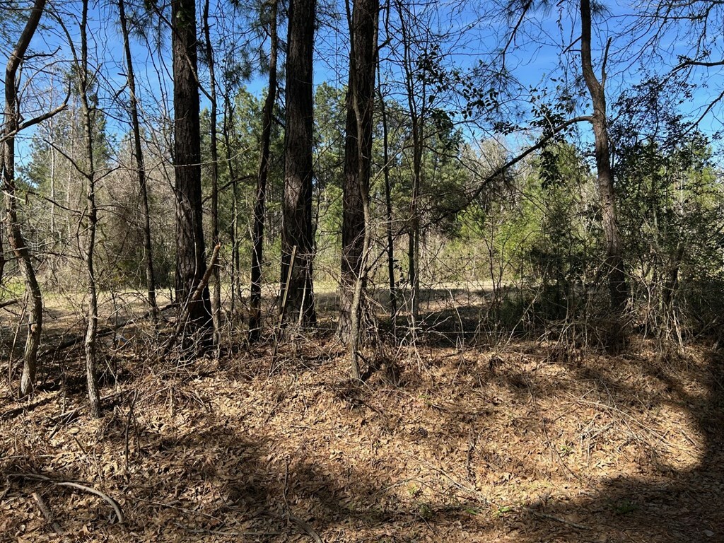 Property Photo: 214 Haddaway Lane TX 75901