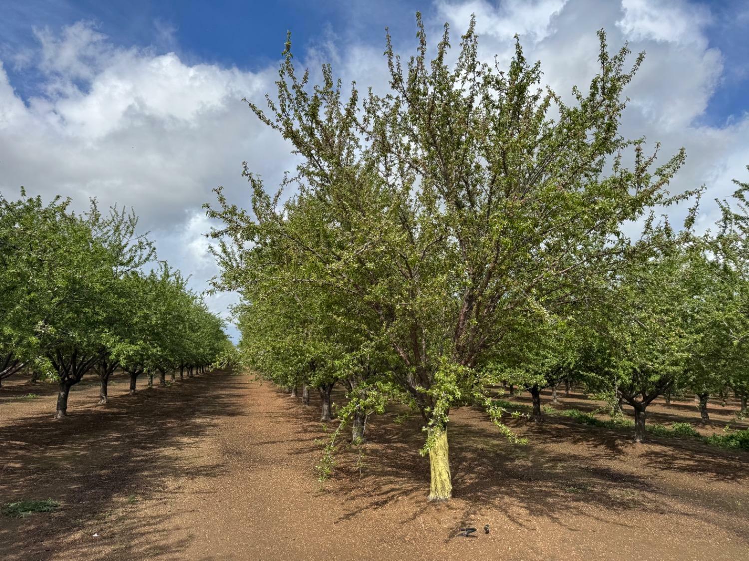 Property Photo: 0 Keys Road CA 95668