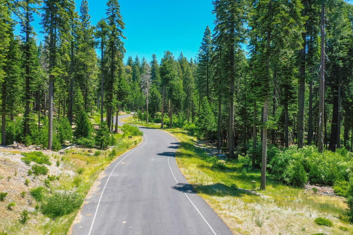 Property Photo: 11 Timber Trail Court CA 95223
