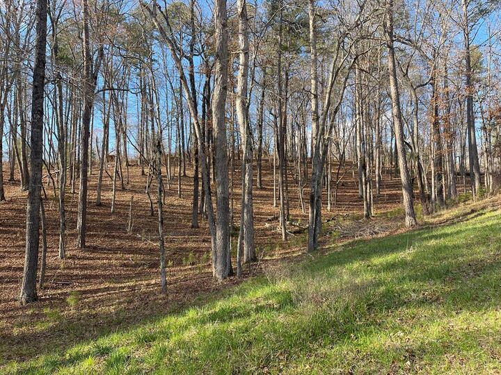 Lot# 208 Pinnacle Drive  Ellijay GA 30540 photo