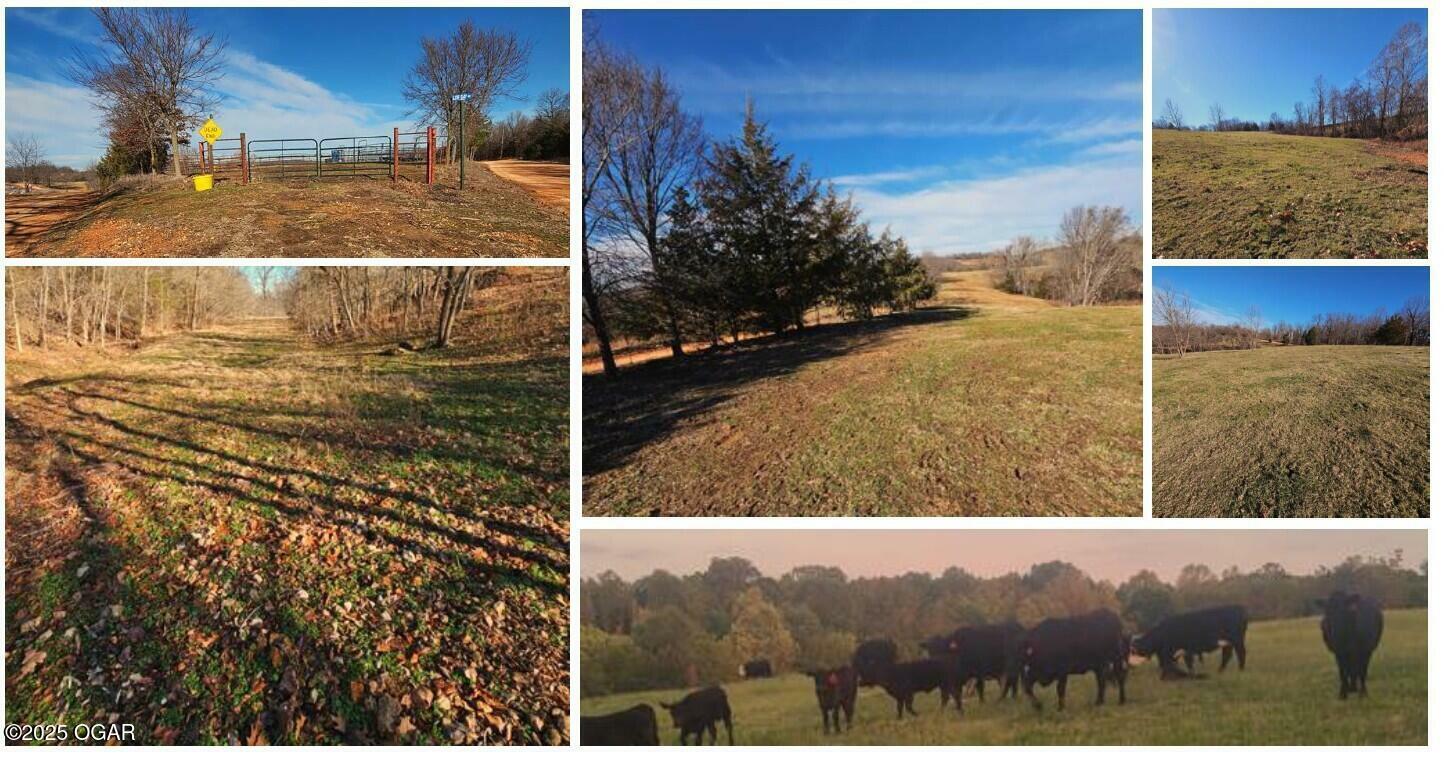 29.62 Acre Low Gap Road  Noel MO 64854 photo