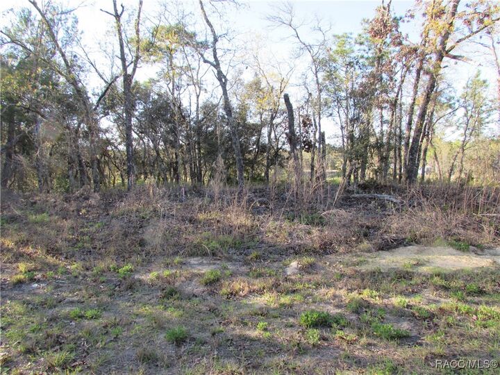 Property Photo:  1255 W Nankeen Drive  FL 34434 