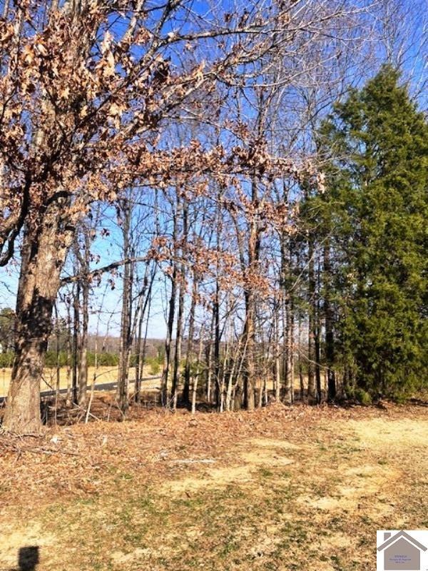 Property Photo: Lot 87 Forest Ridge Dr KY 42003