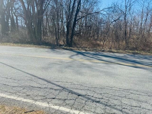 Property Photo: 0 Cramer Road NY 12603