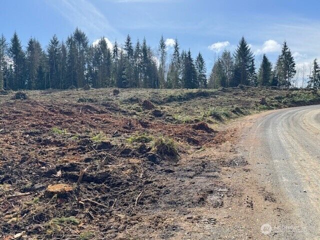 Property Photo: 0 Lot 1 August Road WA 98532