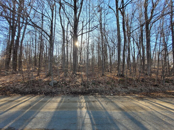 0 Harvey Road  West Chazy NY 12992 photo