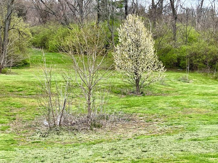 Property Photo:  7298 Harrison Avenue  OH 45247 