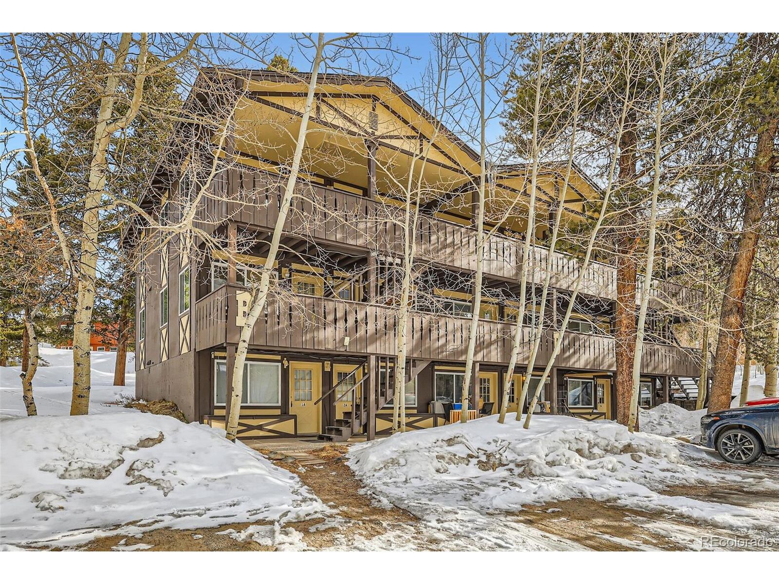 Property Photo: 1941 Boreas Pass Rd 1C CO 80424