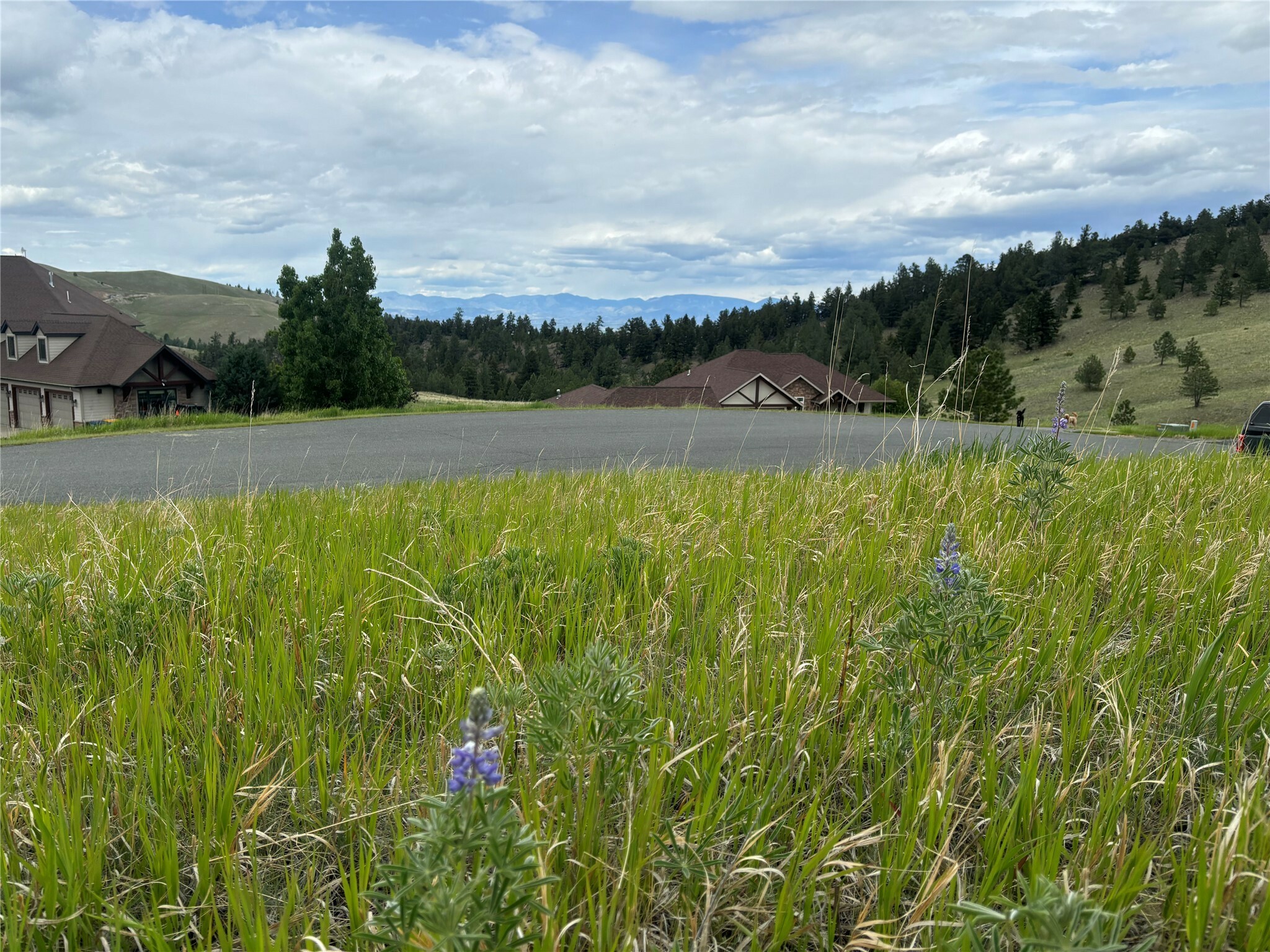 Property Photo: 8 Lana Lane MT 59634