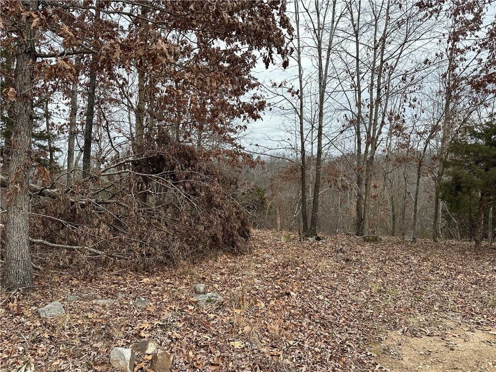 Property Photo: Lot 2 Deer Meadows Lane AR 72687