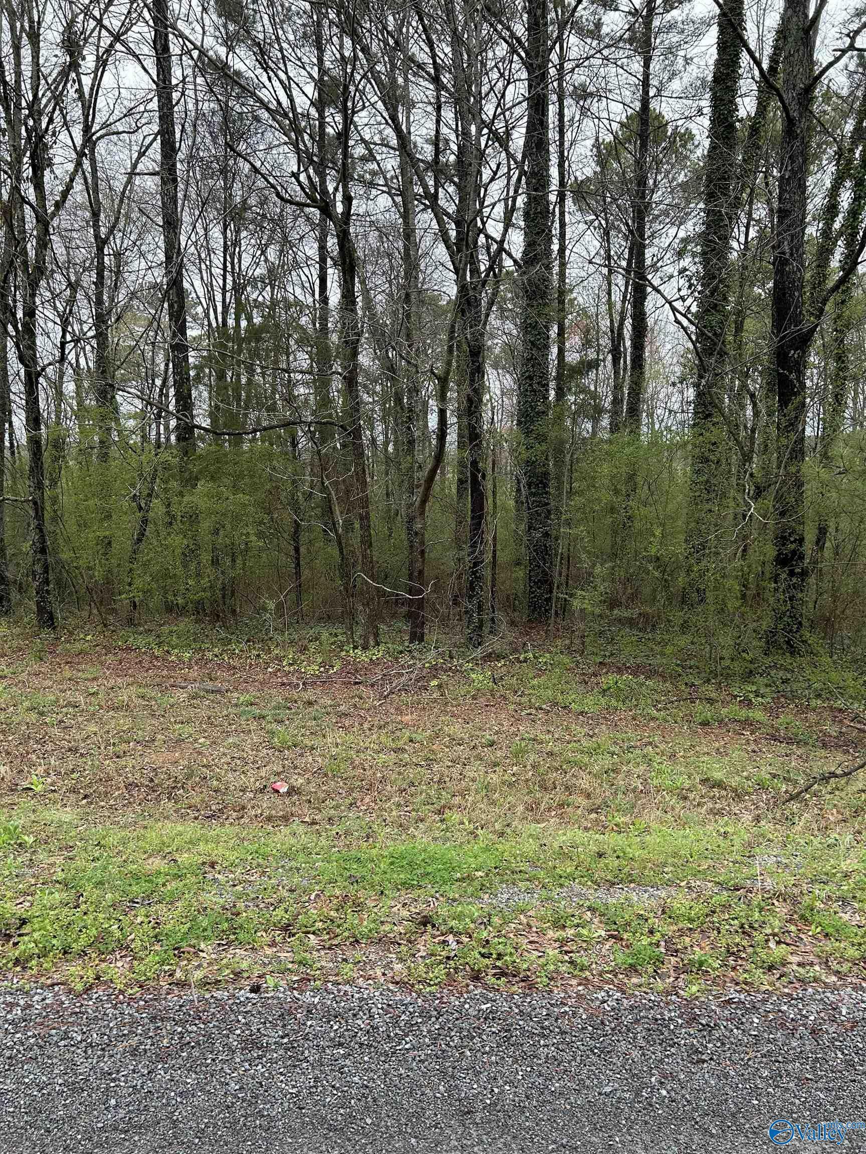 Property Photo: Lot 11, 0.91 Ac Dry Creek Road AL 35049