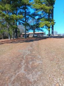 Property Photo:  1251 Co Rd 3350  AR 72830 