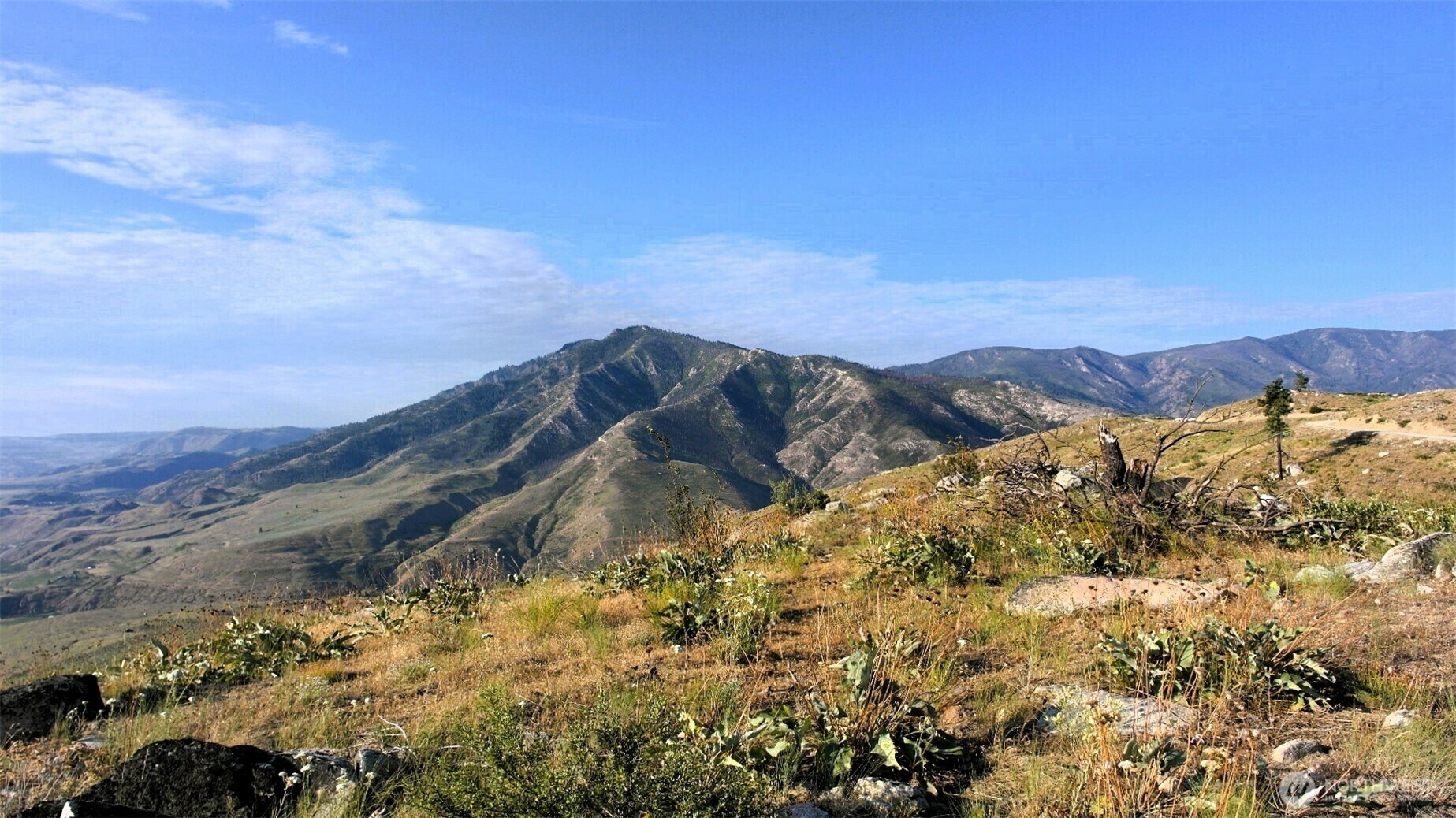 Property Photo: 44 Sky Ridge Road WA 98834