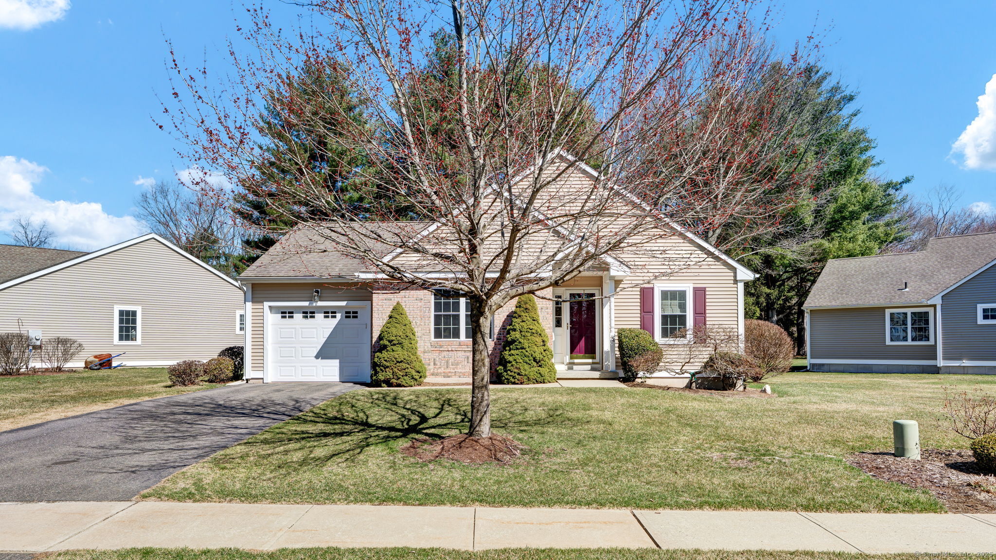 Property Photo:  44 Bailey Circle 44  CT 06074 