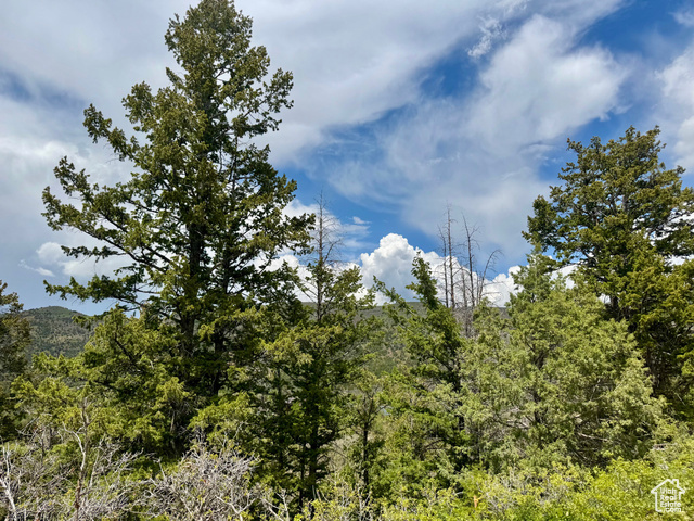 Property Photo: 9395 Ridge Pine Rd 807 UT 84032