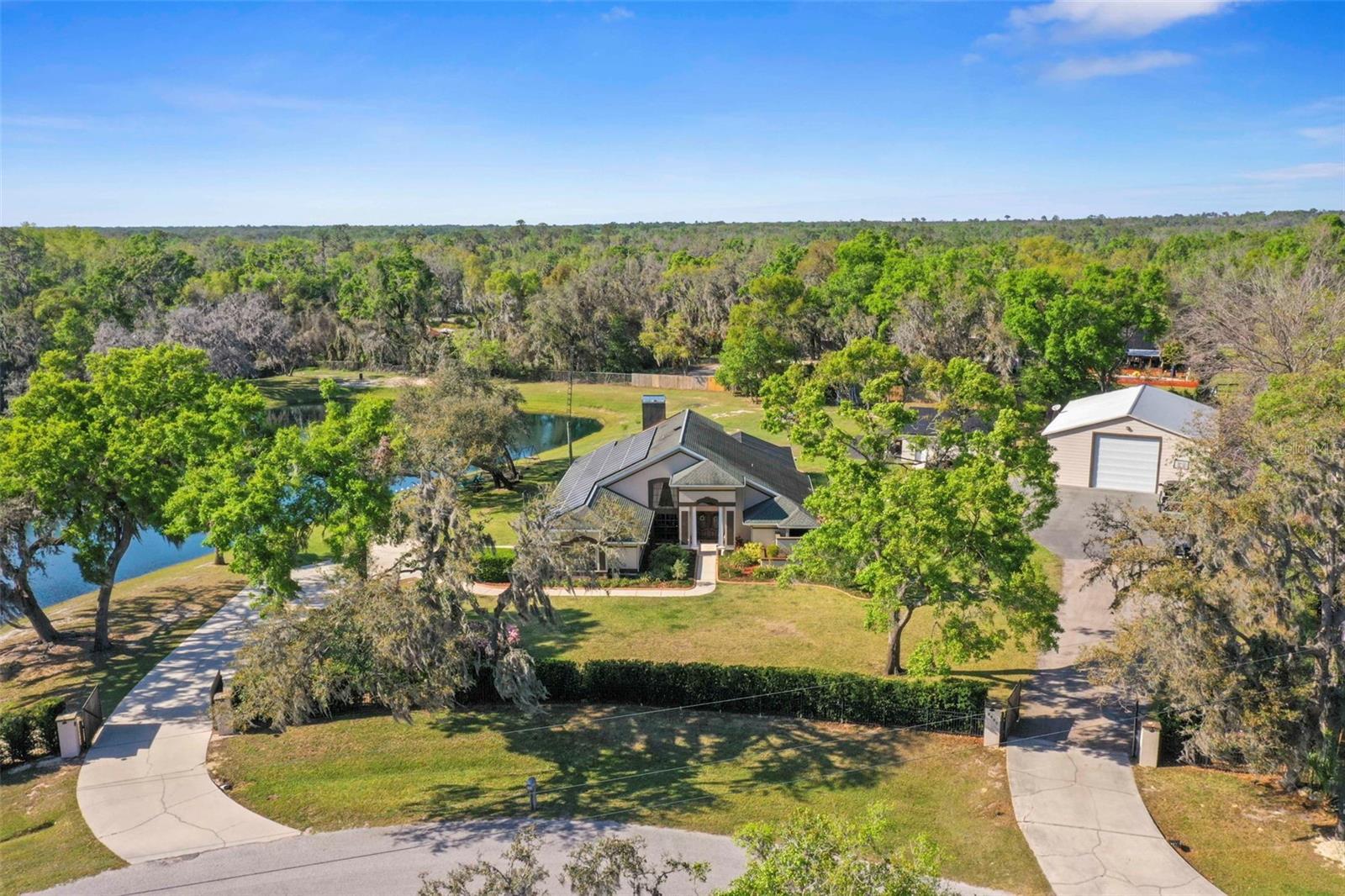 8403 Southwood Pines Street  Lithia FL 33547 photo