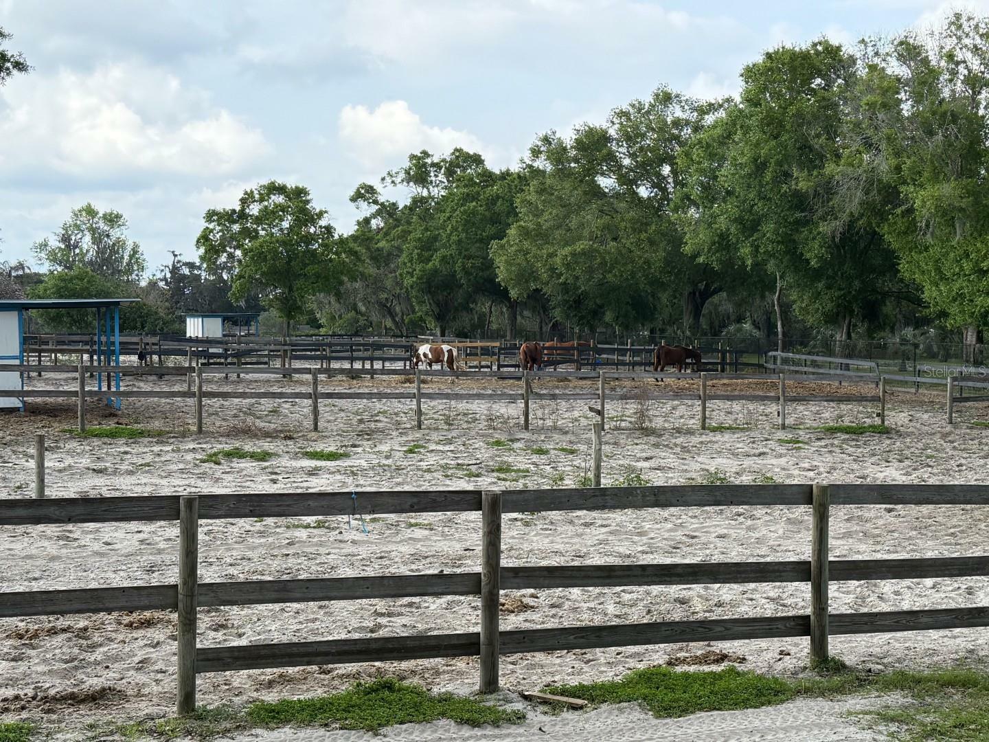 Property Photo:  16315 McGlamery Road  FL 33556 